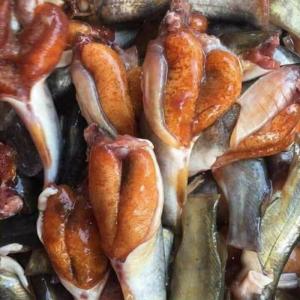 Cá chốt trứng