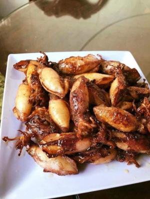 Mực sữa - Một kg vẫn giao tại TP.HCM