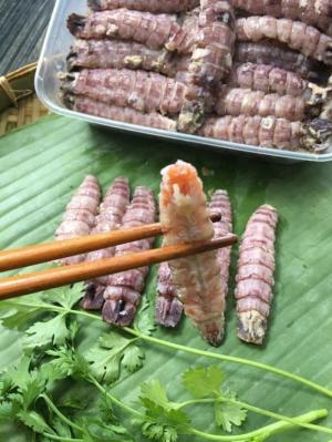 Tôm tít gạch một nắng Gò Công