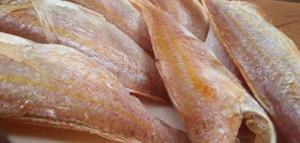 Cá Phèn 1 nắng Gò Công