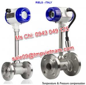 Vortex Rif 300 Riels, Đồng hồ đo lưu lượng Riels RIF300, Đại lý Riels Vietnam