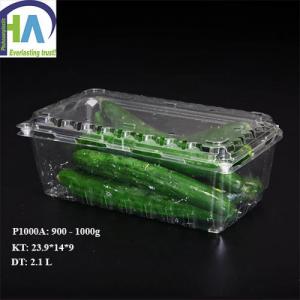Chuyên bán buôn và bán lẻ Hộp nhựa đựng dưa chuột P1000A