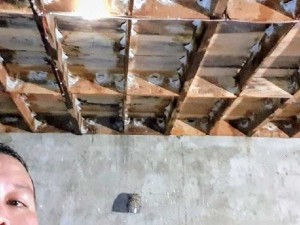Yến sào Mỹ An tại Bình Định