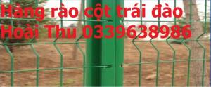 Nhận thi công lắp đặt hàng rào mạ kẽm, lưới sơn tĩnh điện, hàng rào bọc nhựa