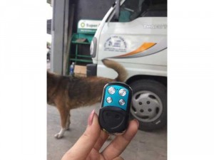 Làm thêm remote cửa cuốn tại nhà