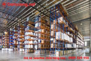 Giá kệ kho nguyên liệu, kệ kho bao bì, kệ chứa hàng thành phẩm Dân Cường