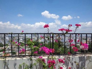 Bán căn hộ Chung Cư Phú Mỹ An