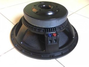 Bass RCF 40 từ 220 coil 100 nhập khẩu China's loại 1