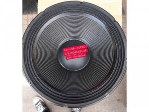 Bass sub 50 RCF 280 coil 125 nhập khẩu China's loại 1