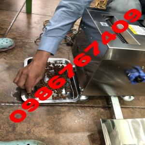 Máy làm viên hoàn thuốc đông y viên 4-12mm