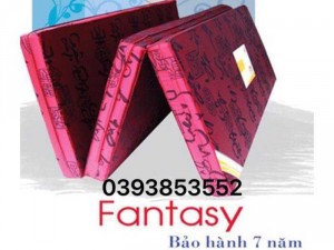 Nêm Bông Ép Vạn Thành Fantasy 160 x200 x10 cm