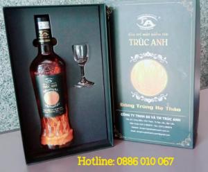 Đông trùng hạ thảo