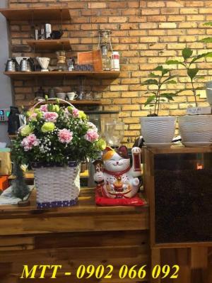 mèo thần tài vẫy tay