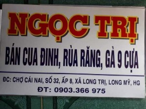 Bán cua đinh giống. Cua đinh thịt