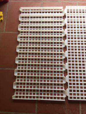 Tấm nhựa lót sàn 50x100 Phú Hòa An chất lượng cao