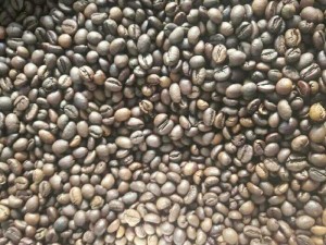 Chuyên cung cấp cà phê phê hạt rang xay