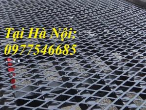 Lưới hình thoi ô lưới 20*40 dây 2 ly hàng có sẵn