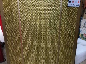Loa kéo trolley speaker 551