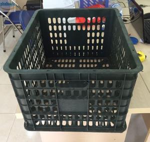 Rổ xoài 30 kg Phú Hòa An số lượng lớn giá rẻ