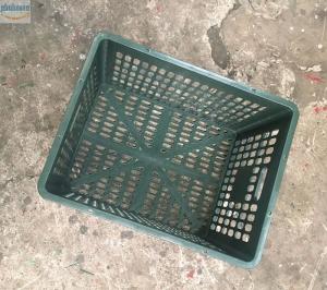 Rổ xoài 30 kg Phú Hòa An số lượng lớn giá rẻ