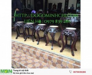Bộ bàn ghế đôn hoa mai