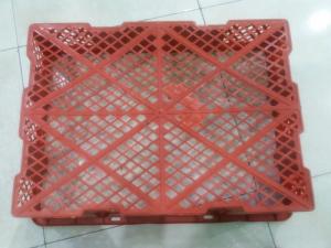 Chuyên cung cấp rổ ớt 7kg Phú Hòa An số lượng lớn giá rẻ