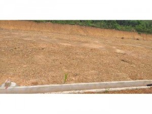 Bán đất giá tốt