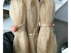 1kg miến dong nguyên chất Cao Bằng