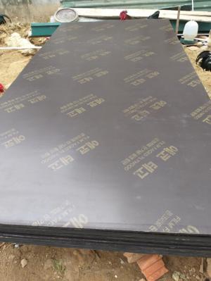 cốt pha ván ép phủ phim giá rẻ