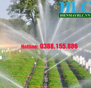 Dây hơi áp lực Cali 6.5mm * 50m