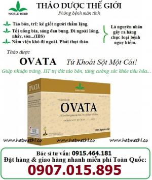 Thảo dược OVATA cải thiện Cơn Đau Trĩ, phòng ngừa táo bón