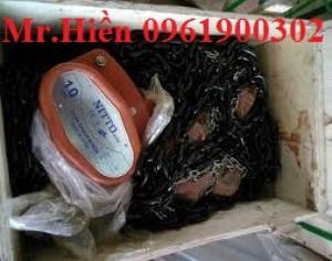 Palang xích 5 tấn 3 mét, 5 tấn 5 mét, 5 tấn 9 mét