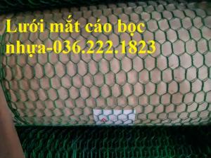 Chuyên cung cấp lưới mắt cáo bọc nhựa giá tốt nhất Miền Bắc