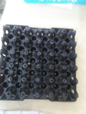 Chuyên sản xuất và phân phối vỉ nhựa đựng trứng Phú Hòa An giá tốt