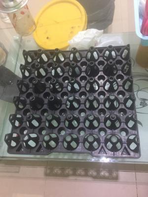 Chuyên sản xuất và phân phối vỉ nhựa đựng trứng Phú Hòa An giá tốt