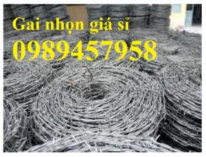 Dây thép gai Nam Định, Dây thép gai mạ kẽm