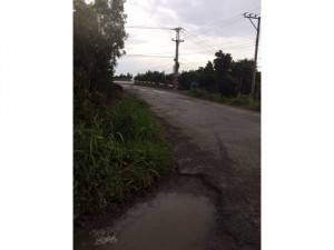14 hecta đường Bắc kênh Trương Văn Sanh,xã Thạnh Mỹ,Tân Phước,Tiền Giang