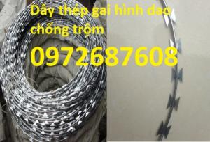 Cung cấp dây kẽm gai hình dao chống trộm giá tốt
