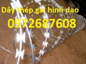 Cung cấp dây kẽm gai hình dao chống trộm giá tốt