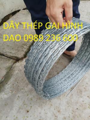 Nhà phân phối dây thép gai, dây gai tôn, dây gai làm hàng rào tại Hà Nội