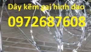 Sản xuất dây kẽm gai hình dao, dây kẽm lam chống trộm giá tốt nhất