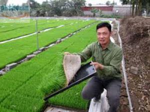 Khay reo mạ Phú Hòa An chất lượng tốt giá rẻ
