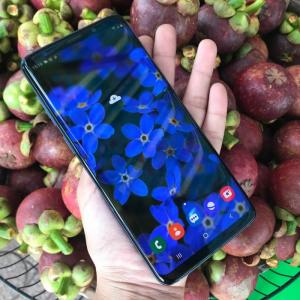 Samsung S9 plus 2 sim zin đẹp, ship COD toàn quốc