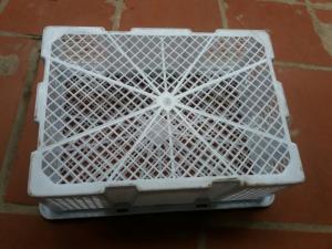 Rổ nhựa đựng nhãn xuất khẩu 12kg Phú Hòa An giá tốt cho bà con nông dân