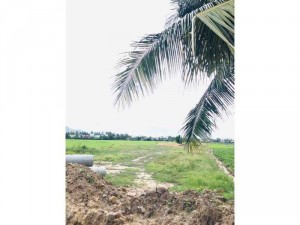 Mở bán đất phân lô khu dân cư diên toàn giá F1 chỉ từ