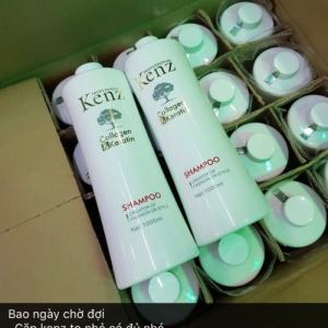 Cặp dầu gội Kenz 1000ml