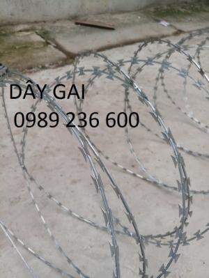 Báo giá dây thép gai mạ kẽm, dây gai tôn năm 2019