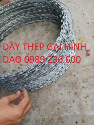 Nơi bán dây thép gai, dây gai tôn chính hãng, giá rẻ, giao hàng toàn quốc