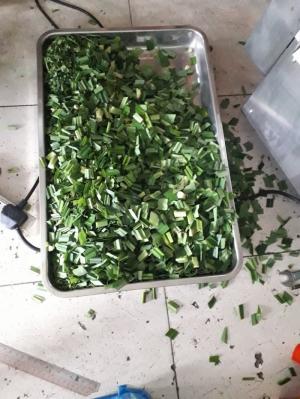 Máy cắt hành lá,cắt các loại lá làm trà giải nhiệt,máy cắt củ quả đa năng dạng băng tải