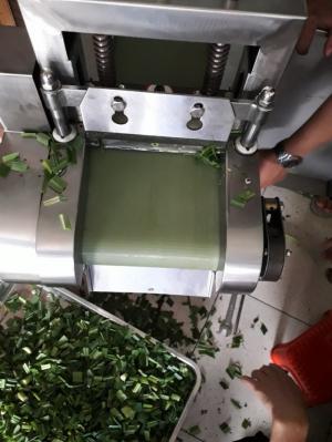 Máy cắt hành lá,cắt các loại lá làm trà giải nhiệt,máy cắt củ quả đa năng dạng băng tải